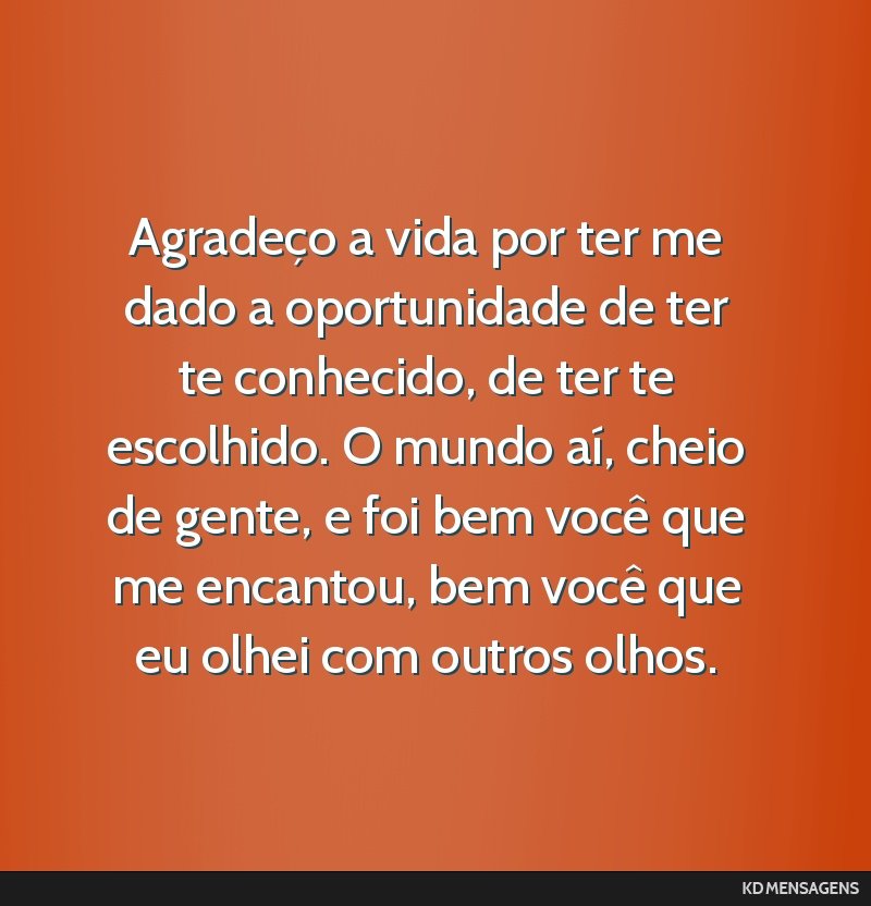 Agradeço a vida por ter me dado a oportunidade de ter te conhecido, de ter te escolhido. O mundo aí, cheio de gente, e foi bem você que me encantou, bem você que eu olhei com outros olhos.