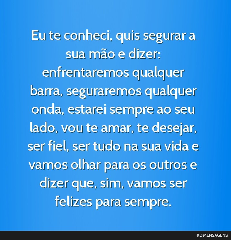 Eu te conheci, quis segurar a sua mão e dizer: enfrentaremos qualquer barra, seguraremos qualquer onda, estarei sempre ao seu lado, vou te amar, te desejar, ser fiel, ser tudo na sua vida e vamos...