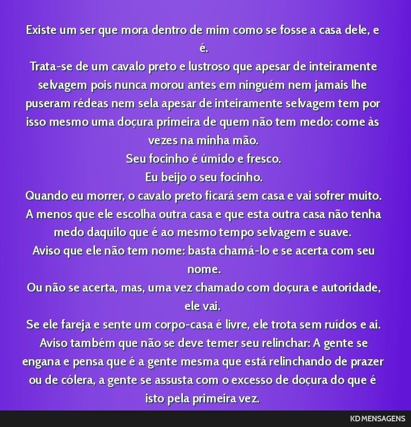 Existe um ser que mora dentro de mim como se fosse a casa dele, e é. <br /> Trata-se de um cavalo preto e lustroso que apesar de inteiramente selvagem pois nunca morou antes em ninguém nem jamais...