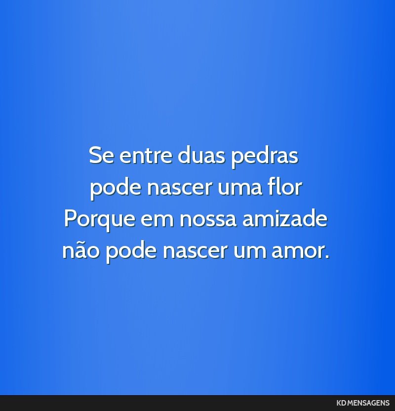 Se entre duas pedras <br /> pode nascer uma flor <br /> Porque em nossa amizade <br /> não pode nascer um amor.